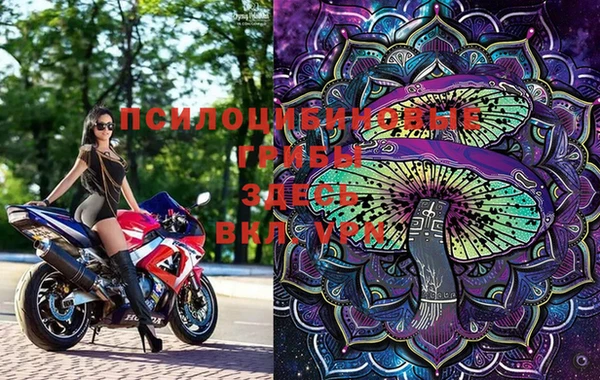 каннабис Елизово