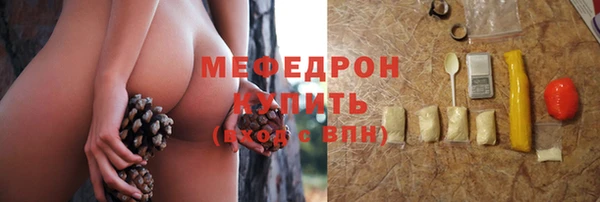 шишки Ельня