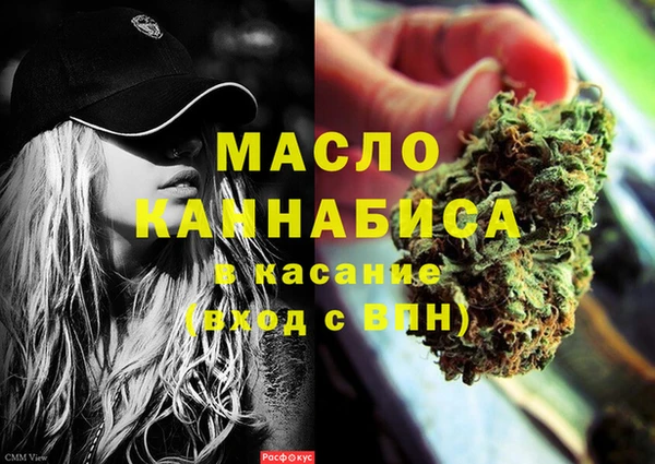 шишки Ельня